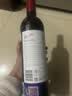 奔富（Penfolds）BIN389双支烟花礼盒中秋送礼 实拍图