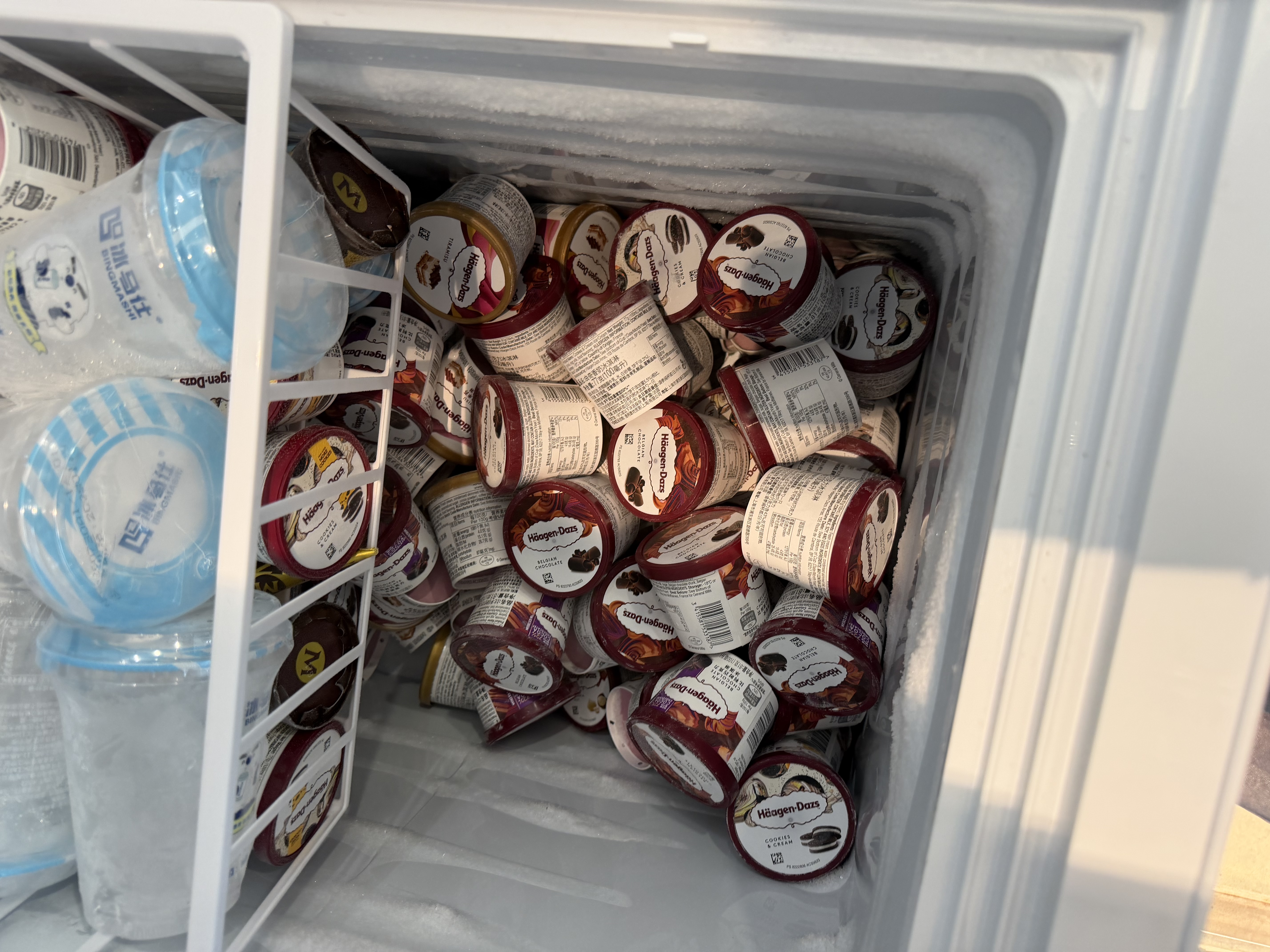 哈根达斯（Haagen-Dazs）经典夏威夷果仁口味冰淇淋 100ml/杯 雪糕 实拍图