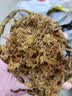 史丹利水苔150g 蝴蝶兰专用土干苔藓养兰花的营养土优质文石斛心兰乌龟 实拍图