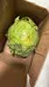 山东新鲜甘蓝包菜卷心菜圆白菜新鲜嫩绿莲花白现摘现发早餐减脂 新鲜包菜 2.8斤净重 人工挑拣 实拍图