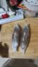 大庄园进口原切牛腱子净重2斤 草饲生鲜牛肉酱卤炖煮食材【真原切】 实拍图