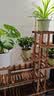 华观家居（Home Giving Furniture）可移动手推花架实木多层落地式花盆架子木质盆景阳台客厅室内多肉 加强款碳色大号带轮 实拍图