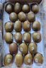 佳沛（zespri）新西兰金奇异果22粒巨大原箱146-175g猕猴桃中秋节礼品送水果礼盒 实拍图