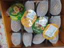 佳沛（zespri）新西兰金奇异果12粒特大果124-146g猕猴桃水果礼盒 实拍图