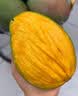 京鲜生云南凯特 净重8斤装 单果400g+ 新鲜芒果水果 源头直发包邮 实拍图