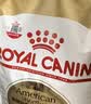 皇家猫粮 英短成猫粮 BS34 通用粮 12月以上 2KG【宠物金选】 实拍图