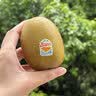 佳沛（zespri）新西兰金奇异果8粒超大果175-204g猕猴桃水果礼盒 实拍图