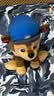 汪汪队立大功（PAW PATROL）毛绒玩具狗狗陪睡玩偶经典款阿奇小号坐姿男女孩儿童生日礼物 实拍图