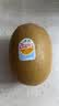 佳沛（zespri）x1号会员店联名款阳光金奇异果20粒礼盒单果约146-175g水果猕猴桃 实拍图
