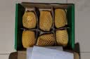 佳沛（zespri）新西兰阳光金奇异果6粒装88-103g猕猴桃水果中秋节礼品送水果礼盒 实拍图