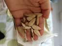 节节旺打手瓜子五香味400g坚果炒货解馋休闲零食小吃葵花籽大颗粒大袋 实拍图