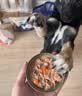 LEGENDSANDY蓝氏狗粮狗零食真鲜乳鸽冻干鲜肉犬粮尝鲜组合泰迪柯基 实拍图