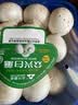 【烧烤季】白蘑菇(口蘑) 230g 实拍图