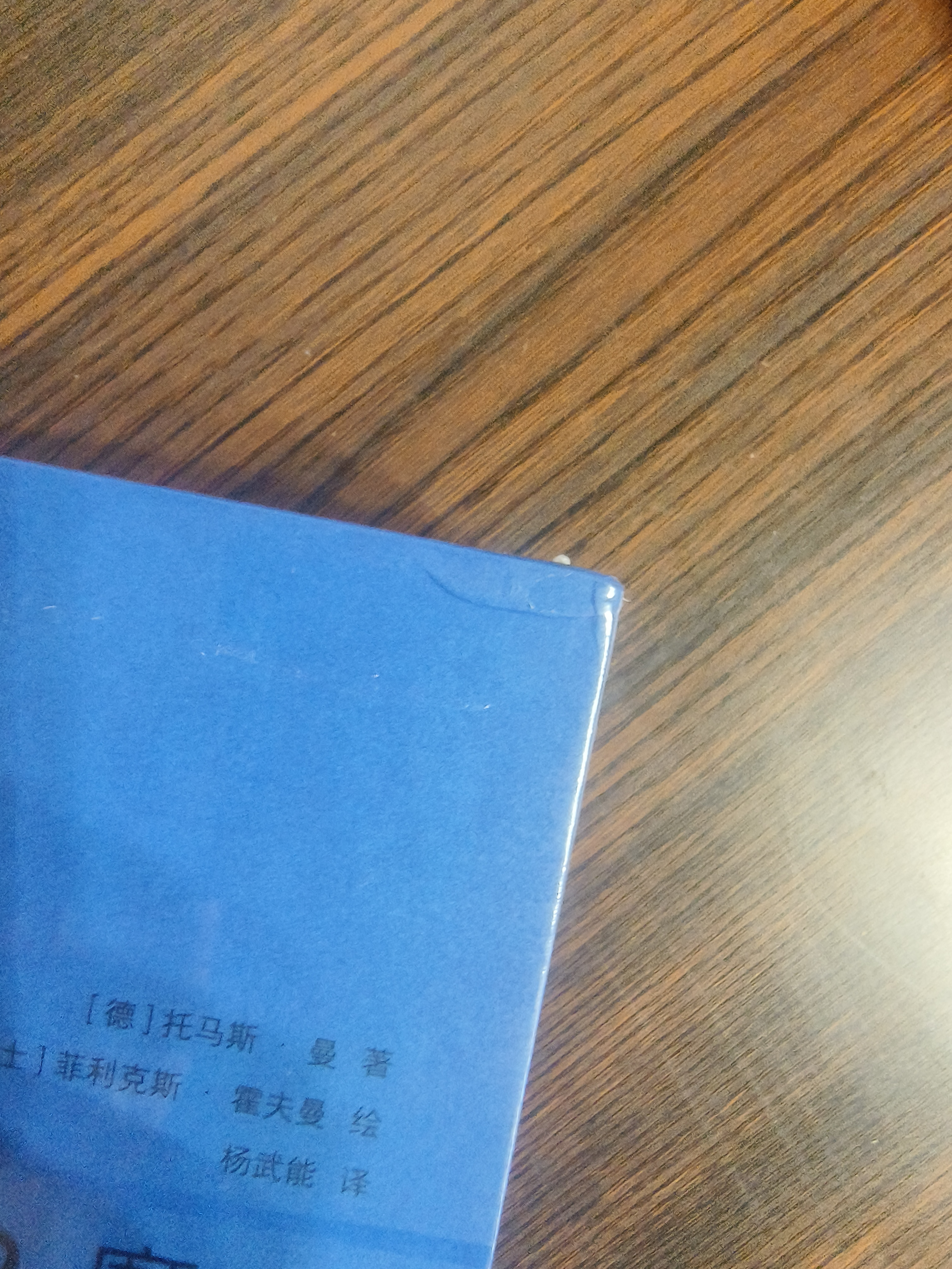  魔山（插图珍藏版） 托马斯代表作 全景式揭示一战前后欧洲总体性危机 诺贝尔文学奖 北极光杰出翻译奖杨武能译 柏拉图爱情 米兰昆德拉推荐 德国文学 欧洲文学经典 世界名著 赠藏书票 小说 后浪 实拍图