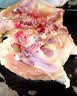 温氏供港老母鸡2.4斤 散养土鸡富硒老母鸡 冷冻走地鸡500天鸡汤 实拍图