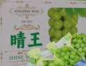京觅晴王阳光葡萄玫瑰花香净重3斤礼盒装单果10-12g团购源头直发 实拍图