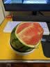 【冰镇即享】庞各庄西瓜约1.5kg   一人食 实拍图