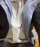 京东京造纯棉开衫卫衣男士26新款春秋外套男装衣服打底衫t恤浅灰2XL 实拍图