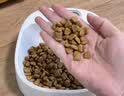 宝路狗粮 成犬狗粮中大中小型犬 全价狗粮牛肉味1.8kg 实拍图
