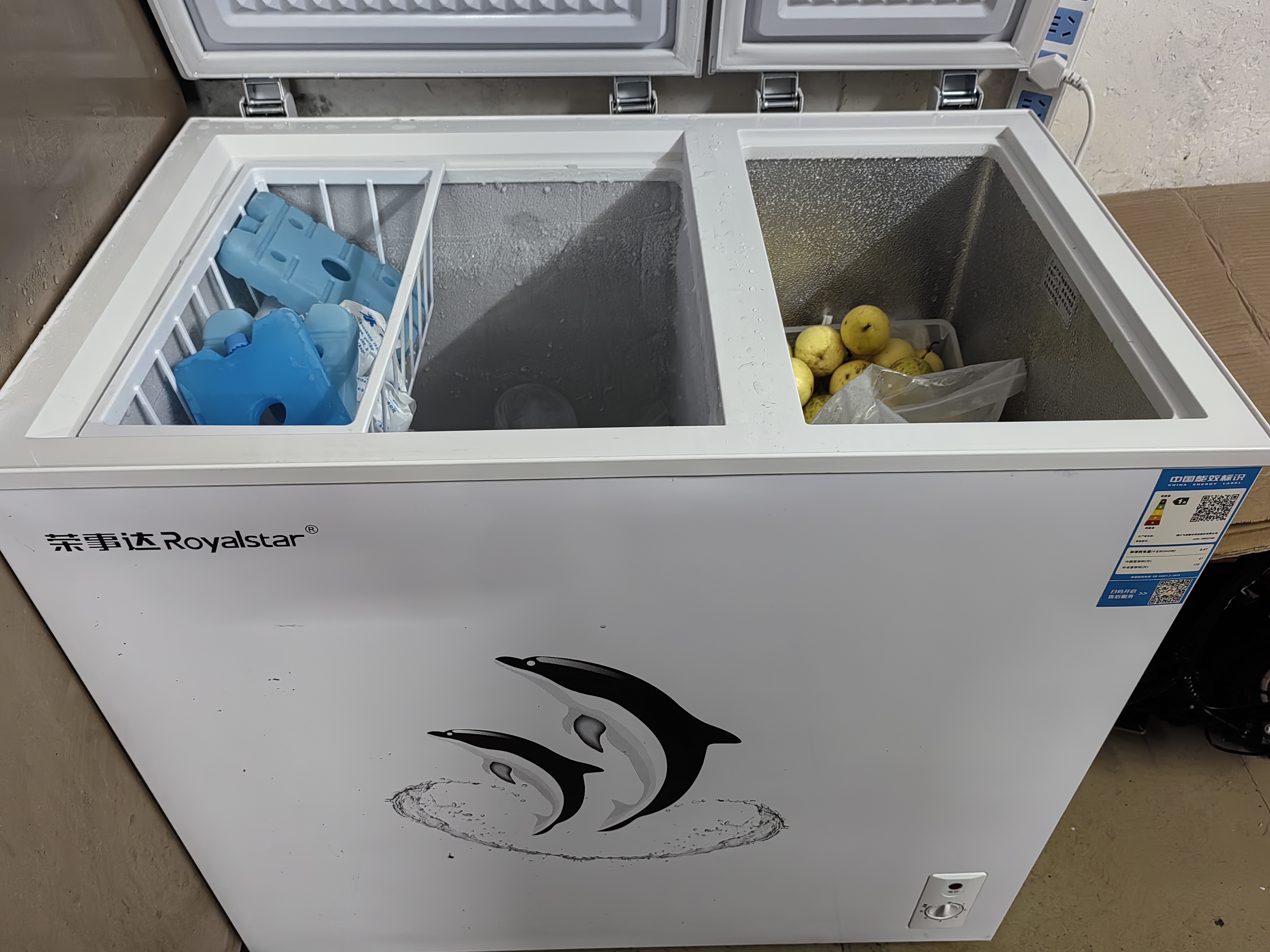 荣事达（Royalstar）双温冰柜家用小型双箱冷柜 冷藏冷冻两用柜双门商用大容量卧式冷柜节能省电 【节能省电 双温双室】219D顶开门 实拍图