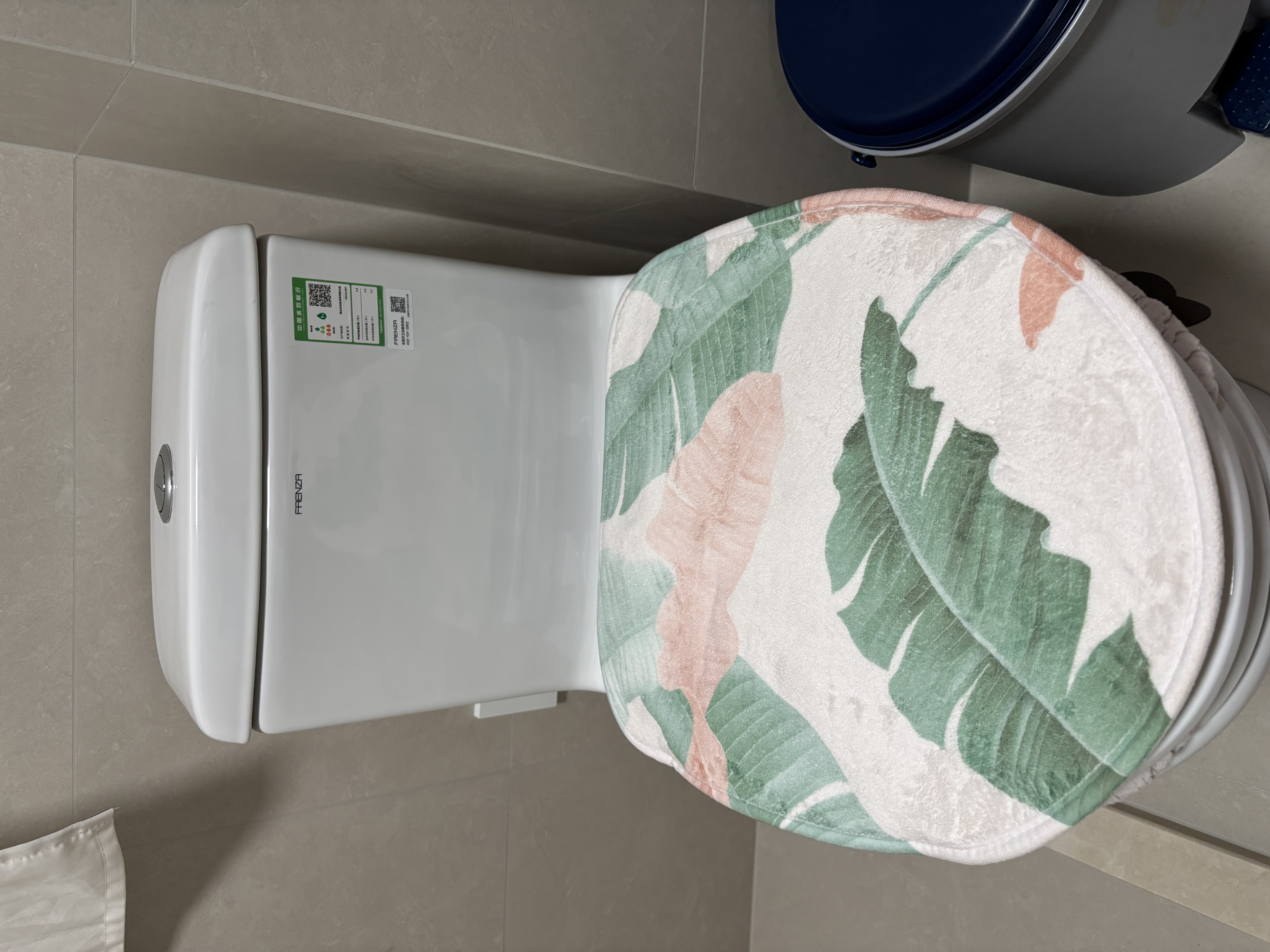 法恩莎（FAENZA） 法恩莎官方抽水马桶喷射虹吸式家用卫生间防臭节水坐便器 FB16128【7天仓储】 250mm 坑距（240-260mm适用） 实拍图