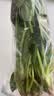 大菠菜300g 实拍图