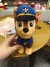 汪汪队立大功（PAW PATROL）毛绒玩具狗狗陪睡玩偶经典款阿奇站姿公仔男女孩儿童生日礼物 实拍图