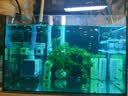 森森（SUNSUN）耀蓝鱼缸水泵小型潜水泵过滤泵抽水泵YQP-1000 15W 实拍图