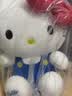 名创优品（MINISO）Hello Kitty凯蒂猫三丽鸥玩偶公仔摆件陪睡抱枕礼物送女生正版 实拍图