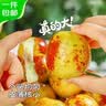 京鲜生山东沾化冬枣 净重4.5斤礼盒 单果16-20g 新鲜水果 源头直发 实拍图