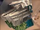 珀莱雅小球藻面膜补水保湿海藻补水玻尿酸面膜教师节礼物教师节礼物 实拍图