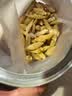 杞里香 麦冬100g 四川麦门冬茶泡水年货补品麦冬五味子茶玉竹麦冬参津汤 实拍图