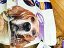 麦富迪（Myfoodie）麦富迪狗狗零食 原切鸭肉干100g成幼犬磨牙棒训练奖励解馋 实拍图