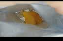三只松鼠益生元芒果干508g/袋 休闲零食水果干蜜饯果脯小吃量贩装 实拍图