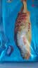 海名威 冷冻黄花鱼700g/2条 宁德大黄鱼 海鱼 生鲜鱼类 海鲜水产 中秋 实拍图