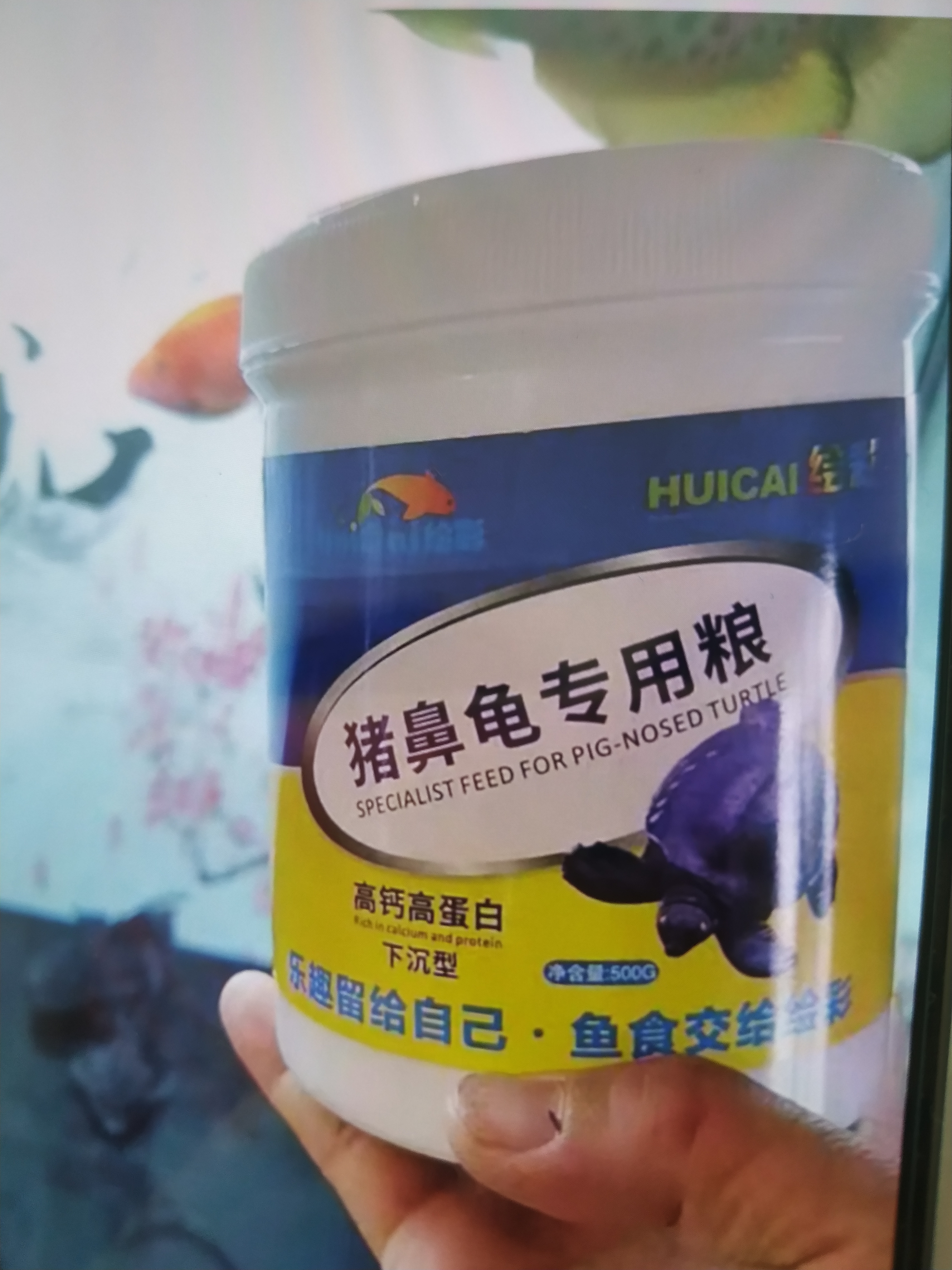 绘彩猪鼻龟饲料剃刀龟底栖鱼下沉鱼食 虎头鲨专用粮黄头侧颈龟沉底粮 高钙高蛋白10mm圆粒500G 实拍图
