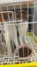 网易严选全价猫粮成幼猫主粮三文鱼亮毛深海鱼虾味1.8kg 【宠物金选】 实拍图