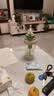 【京东物流】水杯冰霸吸管杯高颜值学生茶水分离大容量杯子 【专享价】肚肚杯-浅绿色 实拍图