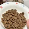 instinct天然百利进口高蛋白鸡肉成猫粮试吃装60g 实拍图