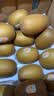 佳沛（zespri）新西兰金奇异果18粒超大原箱175-204g猕猴桃水果礼盒 实拍图