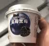 卡士（CLASSY.KISS）【全程冷链】蓝莓黑莓果粒鲜酪乳100g*6杯 低温酸奶 风味发酵乳 实拍图
