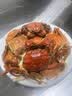 【礼券】鲜京采大闸蟹礼券668型中秋礼品卡券 公蟹4.5两母蟹3.5两4对8只生鲜螃蟹礼盒 实拍图