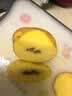 应季新土豆约1kg 实拍图