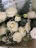 艾斯维娜鲜花速递11朵玫瑰花束送女友生日礼物全国同城配送 11朵白玫瑰花束 实拍图