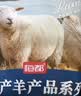 恒都 国产原切去骨羊后腿肉2斤 冷冻 国产草饲   煎炒炖煮 实拍图