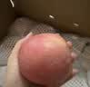 京鲜生 烟台红富士苹果 净重10斤 单果160g以上 礼盒装 生鲜水果 实拍图