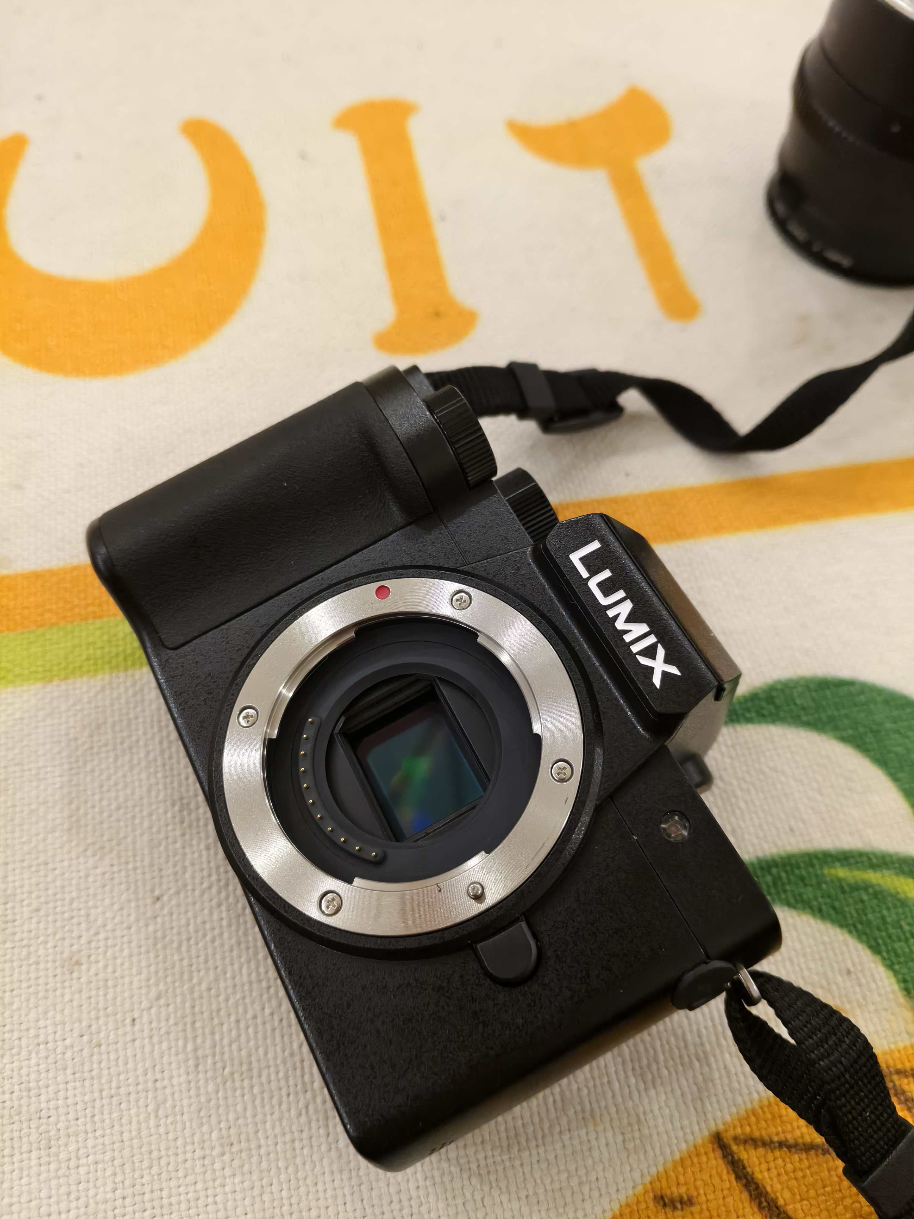 松下【12期免息】G100DK（Panasonic）微单相机 数码相机 vlog套机12-32mm 4K视频专业收音柔肤自拍 实拍图