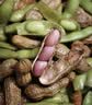 鲜花生毛豆组合500g 实拍图