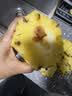 广东徐闻香水菠萝新鲜水果生鲜热带孕妇水果整箱包邮 【限时低价】1个装  净重650g起 实拍图
