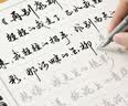 金枝叶行草字帖成人练字专用行书临摹练字帖草书成年硬笔书法连笔行楷钢笔专用控笔训练写字帖礼盒装 实拍图